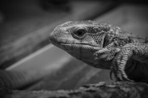 体臭チェックキットを使って自分の体臭を簡単に確認する方法は？