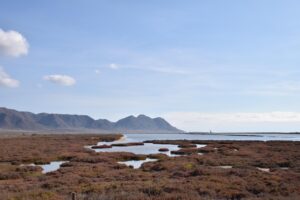 生理前体臭を軽減するための効果的な対策は？