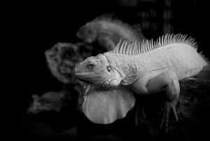 プロテインを大衆が効果的に摂取する方法は？