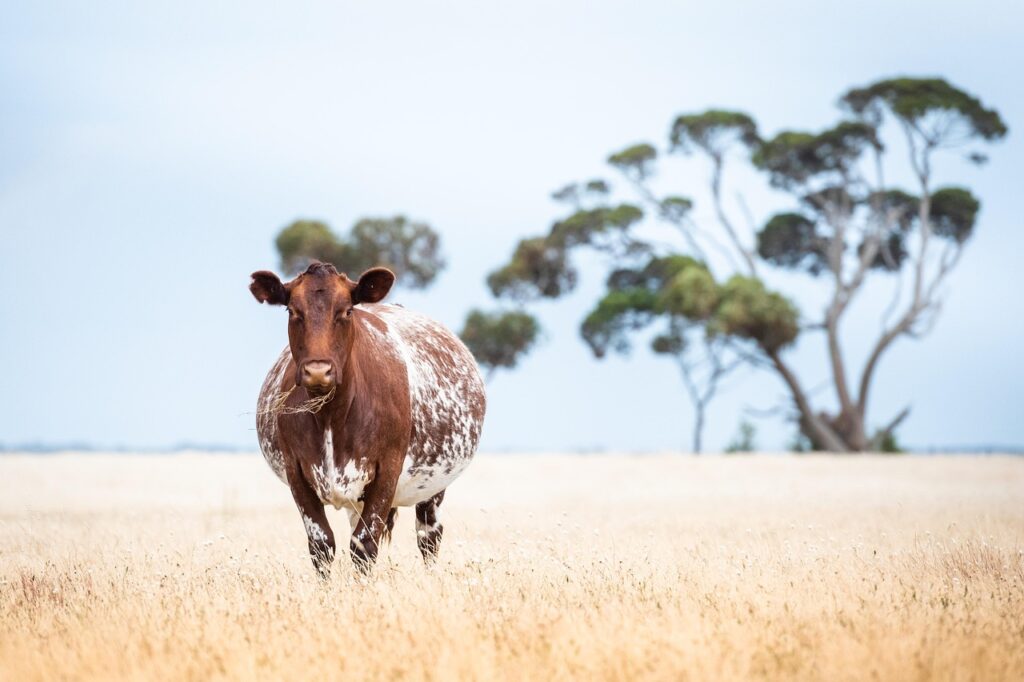 妊娠中に汗臭いと感じる原因と対策は？