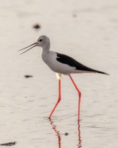 生理中に体臭が変わる原因と対策は？