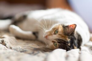 おならを我慢すると体臭はどう変わるの？