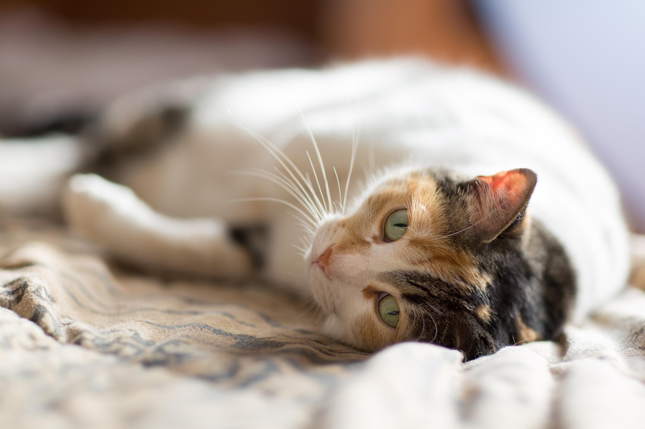 おならを我慢すると体臭はどう変わるの？