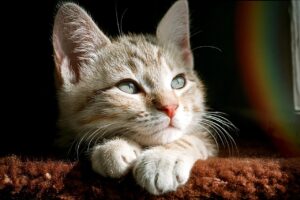 体臭が強い方が試すべき改善方法は？