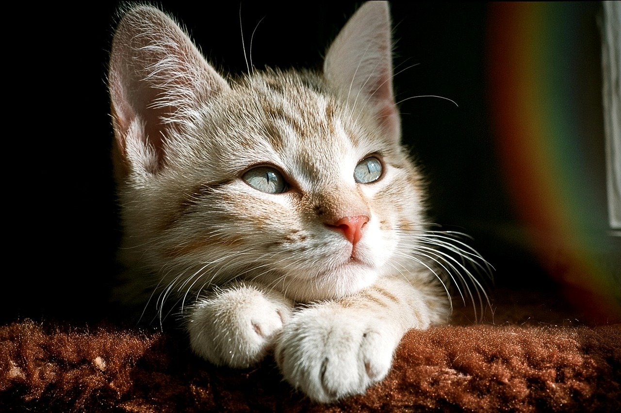 体臭が強い方が試すべき改善方法は？