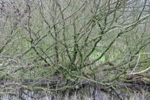 体臭の原因は便秘にあるのか？