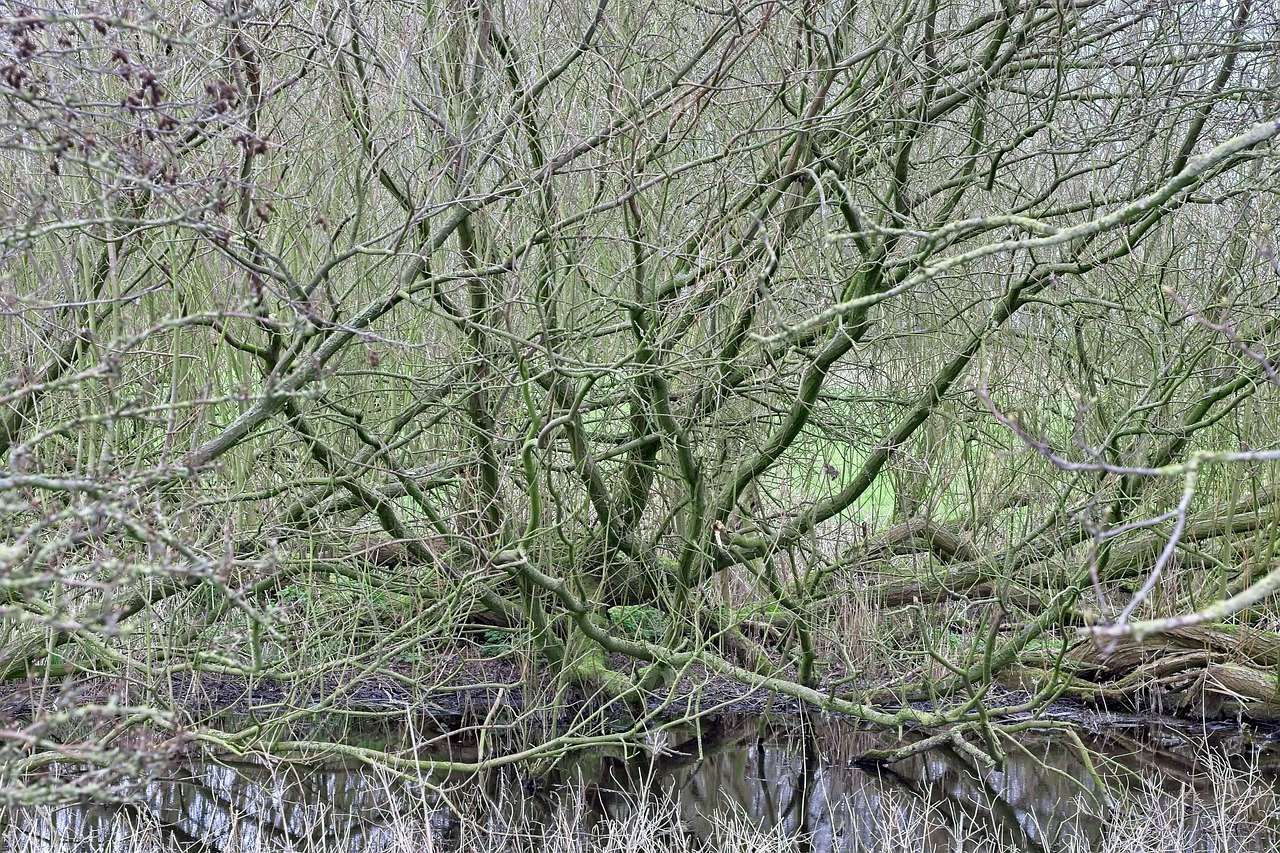 体臭の原因は便秘にあるのか？