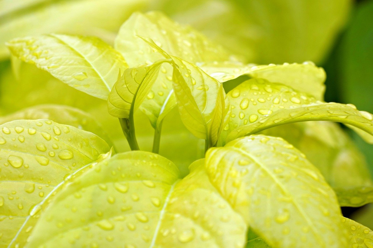 体臭を腸内環境から改善する方法とは？