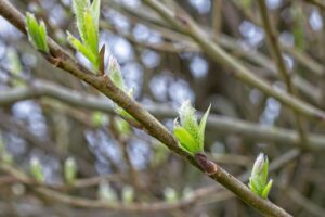 体臭の原因を徹底解析すると何がわかるのか？