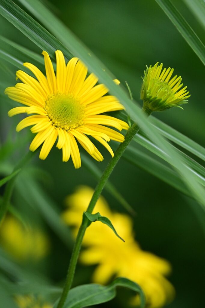 体臭の悩みを相談するための効果的な方法は？