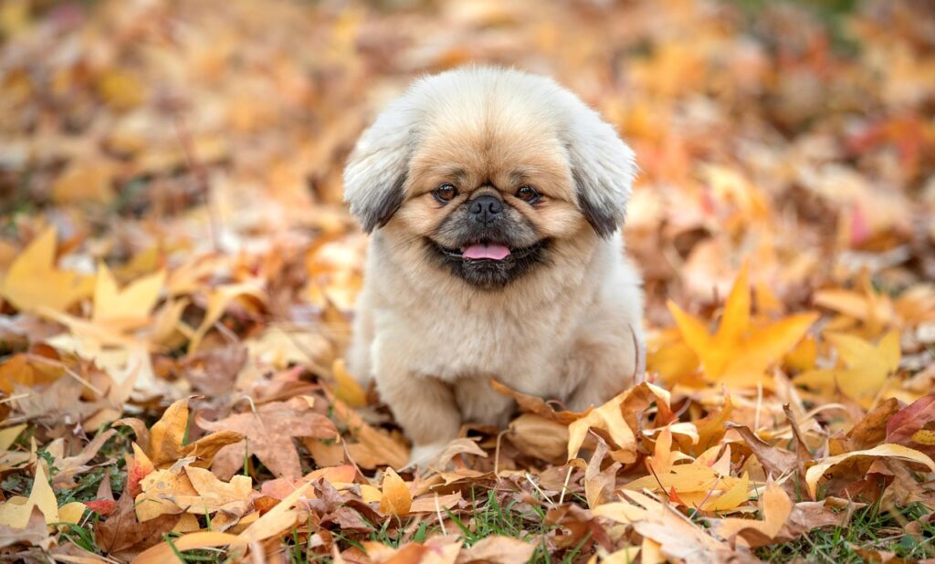 思春期の体臭がきついと感じる原因と対策は？