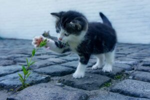 体臭の相談は料金がどれくらいかかるの？